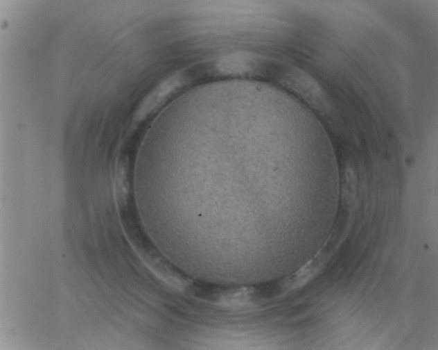 X0000063510116200601271820