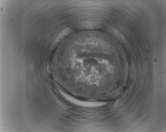 X0000063510119200601271820