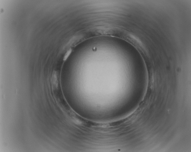 X0000063510121200601271820