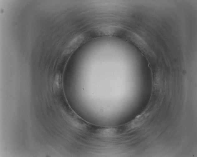 X0000063510122200601271820