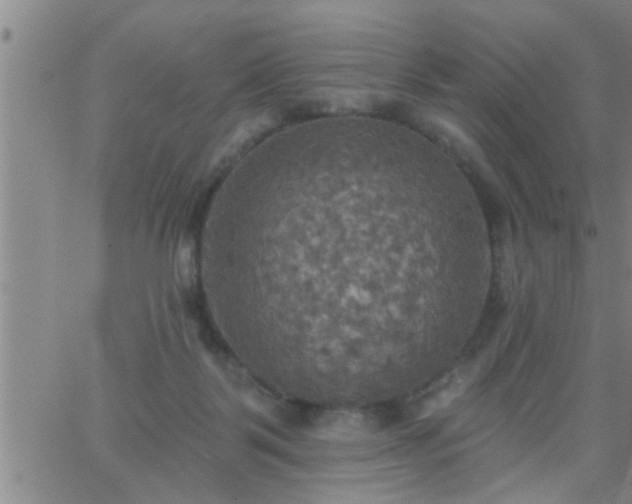 X0000063510123200601271820