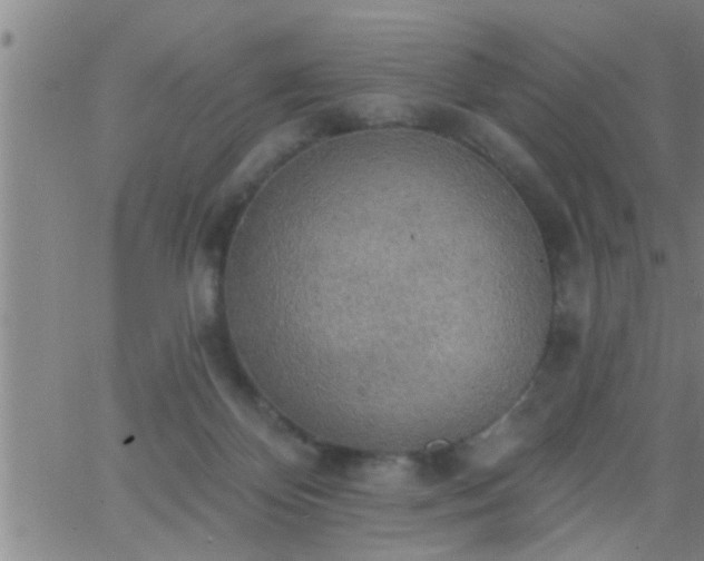 X0000063510124200601271820