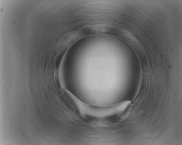 X0000063510125200601271820