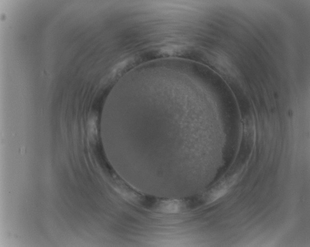 X0000063510127200601271820