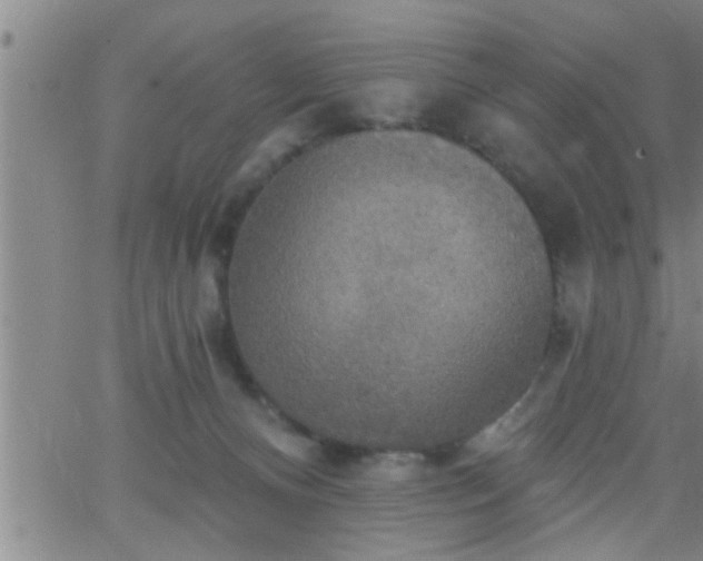 X0000063510128200601271820