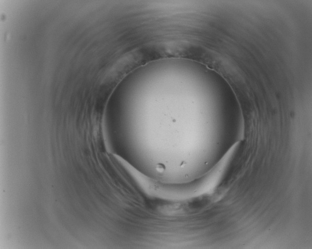 X0000063510129200601271820