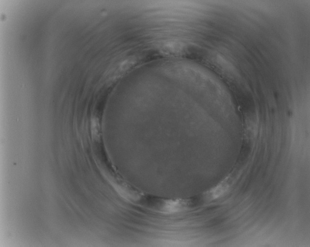 X0000063510130200601271820