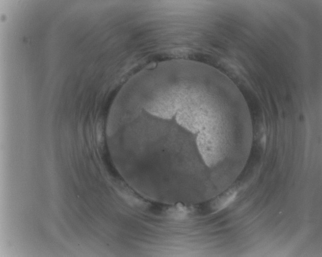 X0000063510131200601271820