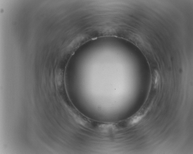 X0000063510133200601271820