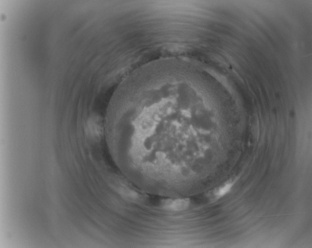 X0000063510135200601271820