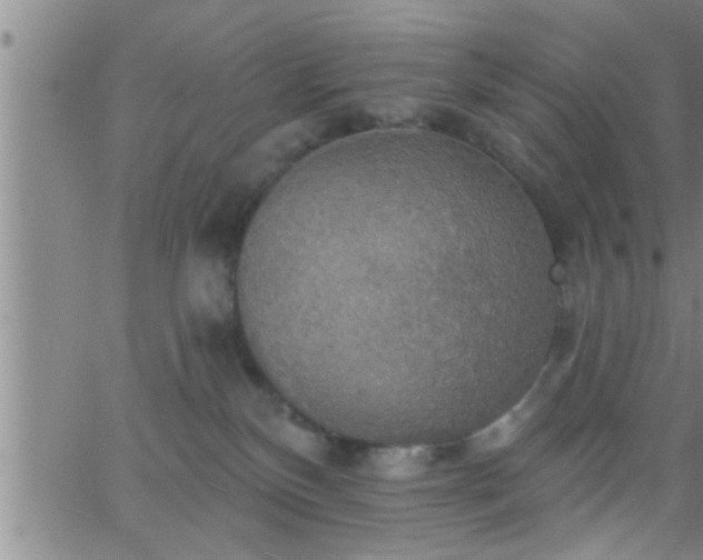 X0000063510136200601271820