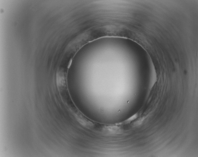 X0000063510137200601271820