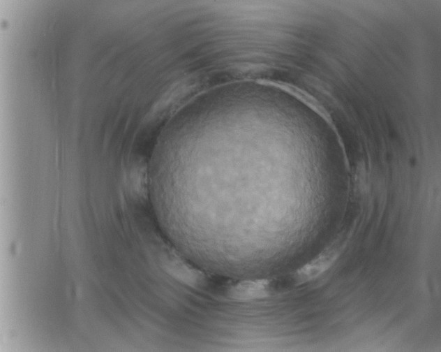 X0000063510138200601271820