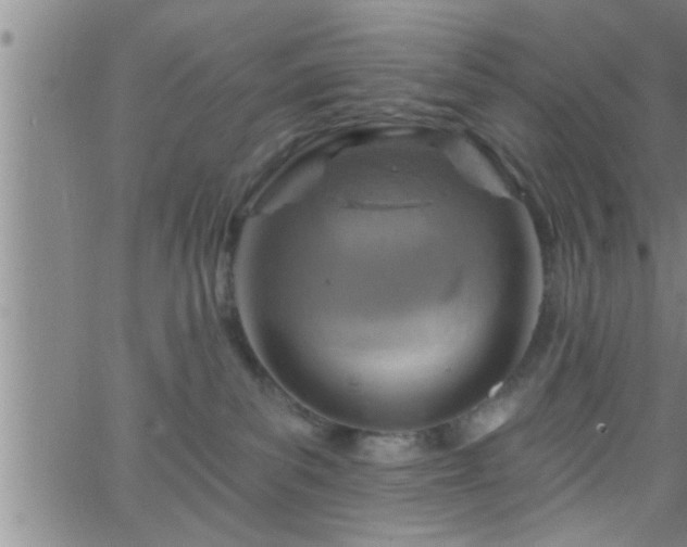 X0000063510139200601271820