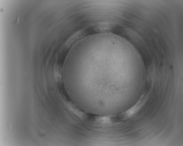 X0000063510140200601271820