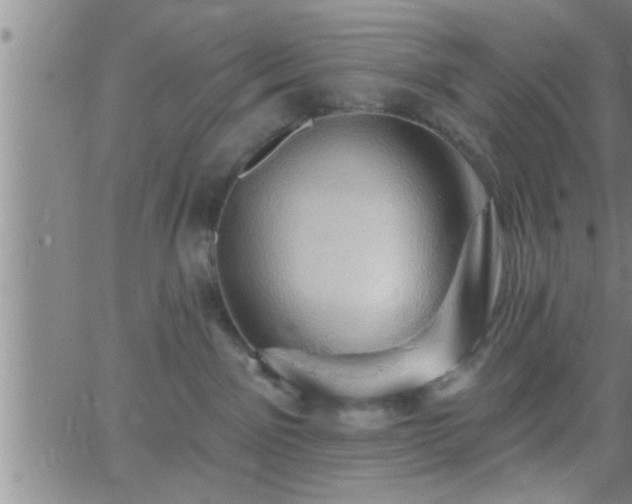 X0000063510141200601271820