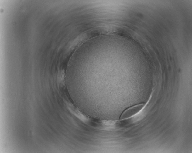 X0000063510144200601271820