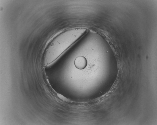 X0000063510146200601271819