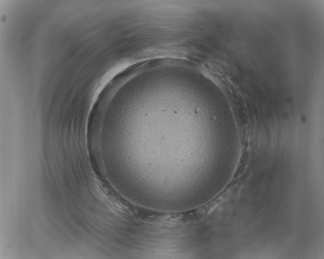 X0000063510148200601271819