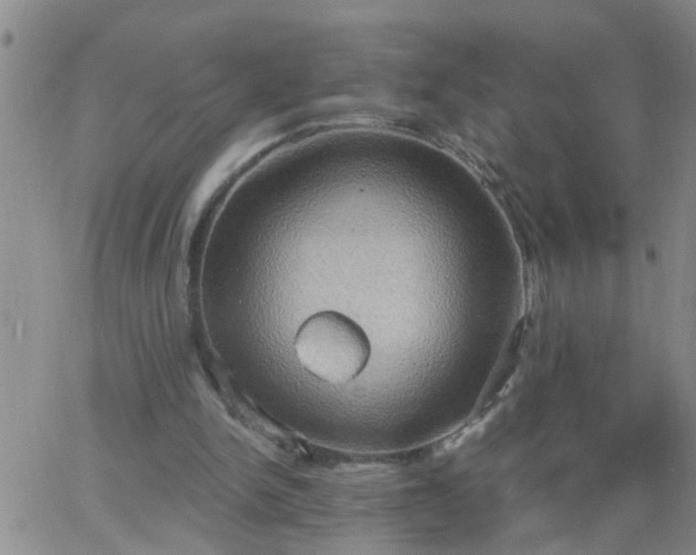 X0000063510150200601271819