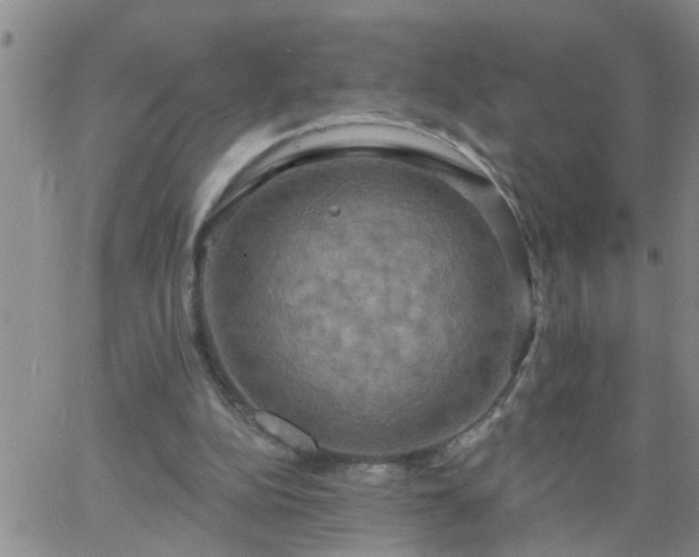 X0000063510152200601271819