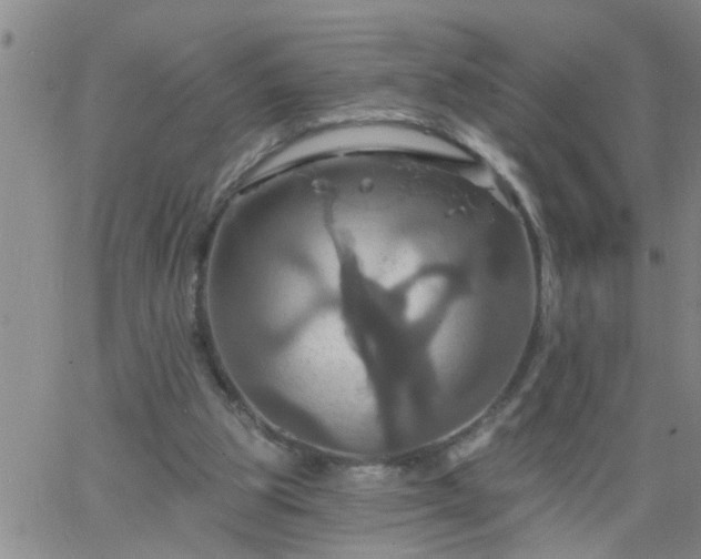 X0000063510153200601271819