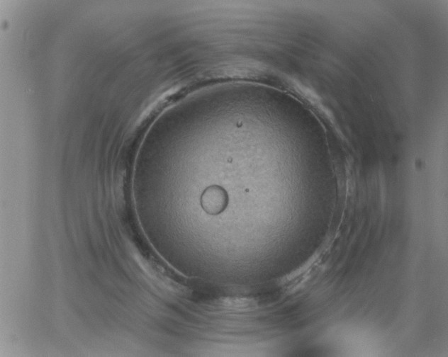 X0000063510154200601271819