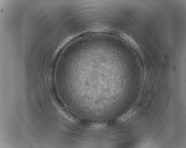 X0000063510155200601271819