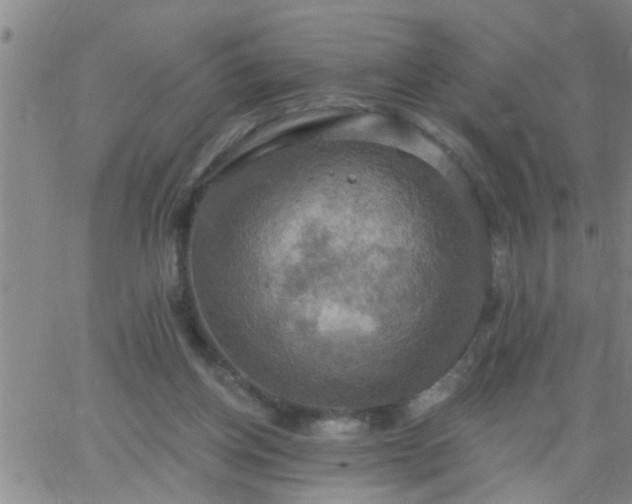 X0000063510158200601271819