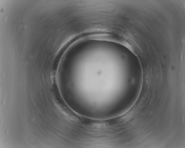 X0000063510160200601271819