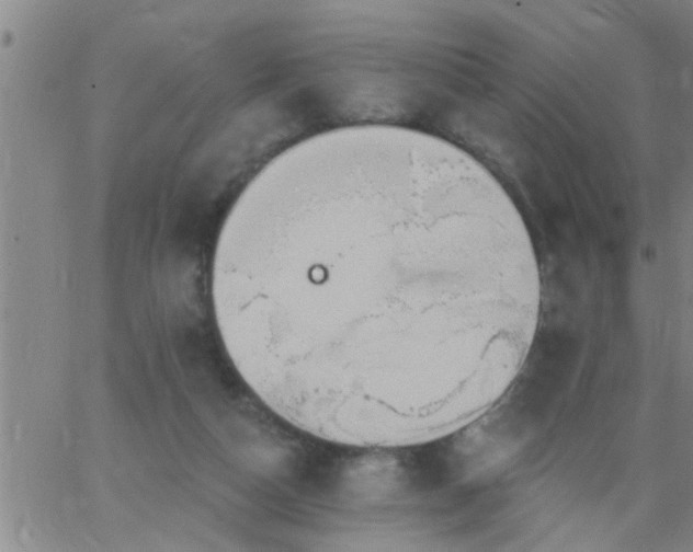 X0000063510162200601271819