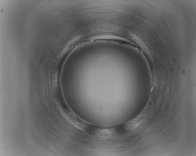 X0000063510163200601271819