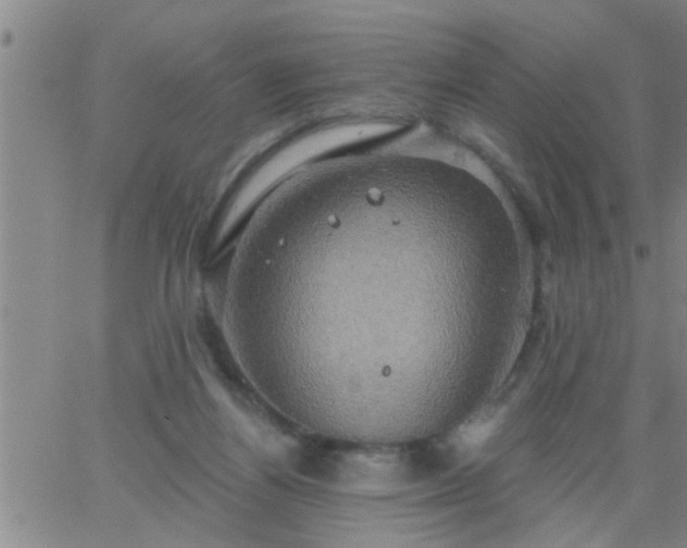 X0000063510164200601271819