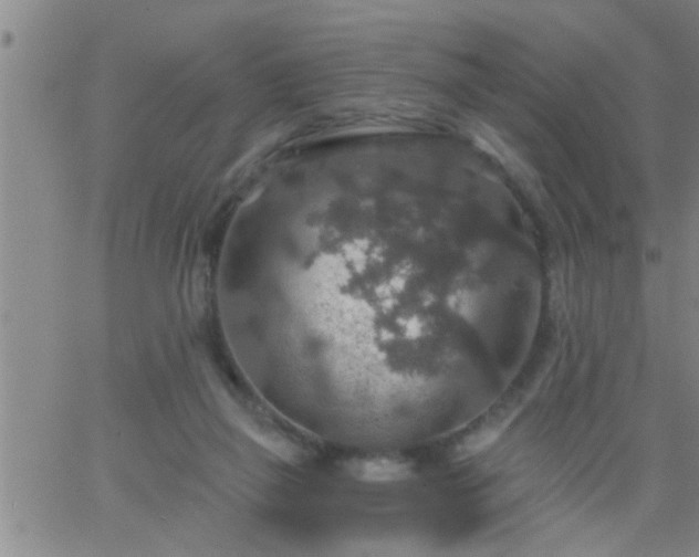 X0000063510165200601271819