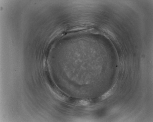 X0000063510166200601271819