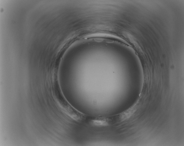 X0000063510167200601271819