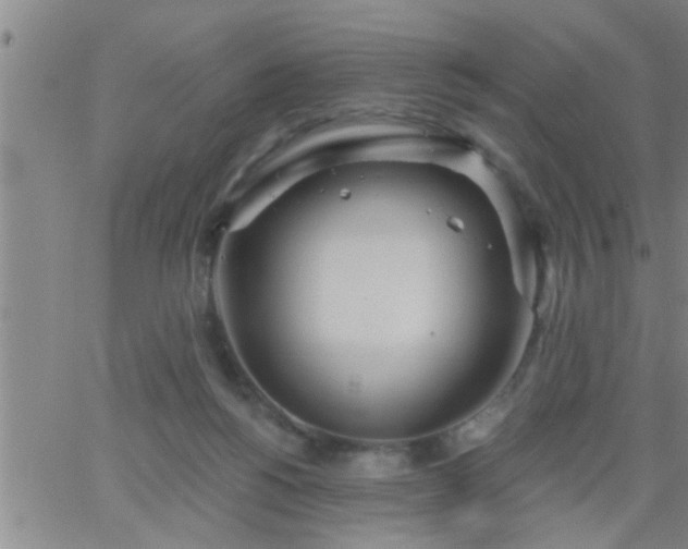 X0000063510168200601271819