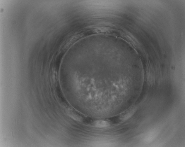 X0000063510169200601271819