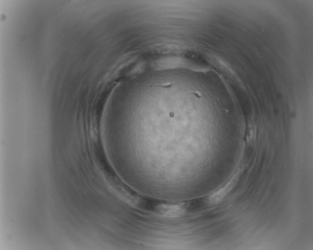 X0000063510170200601271819