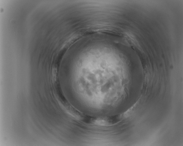 X0000063510171200601271820