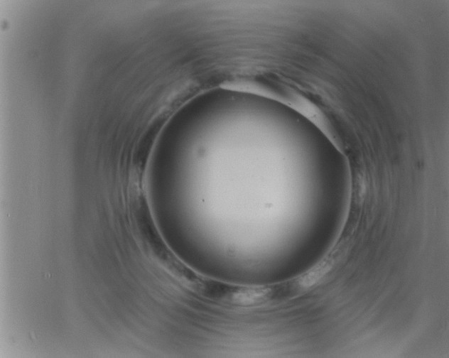 X0000063510172200601271820