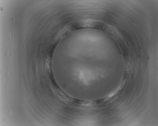 X0000063510175200601271820