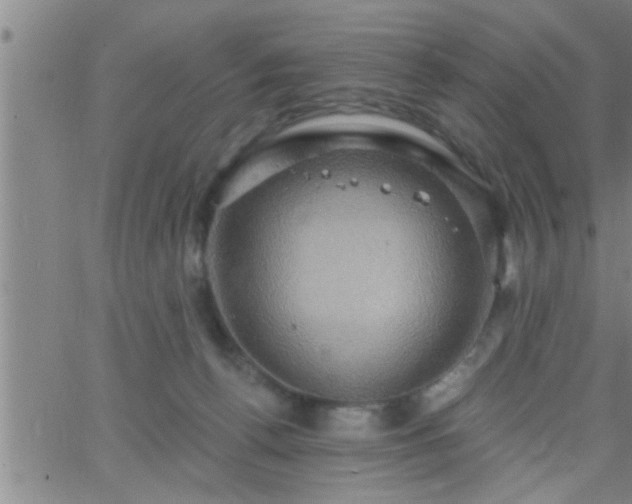 X0000063510176200601271820