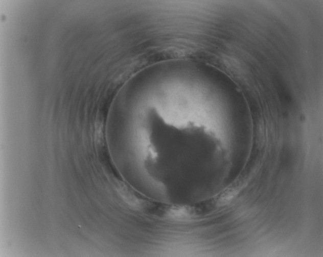 X0000063510177200601271820