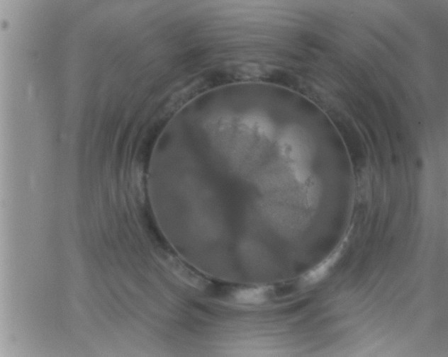 X0000063510178200601271820