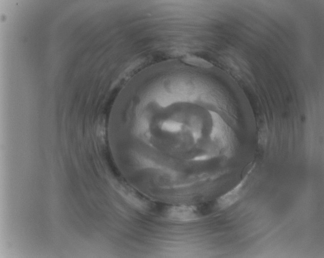 X0000063510179200601271820