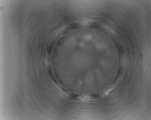 X0000063510181200601271820