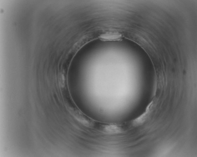 X0000063510183200601271820