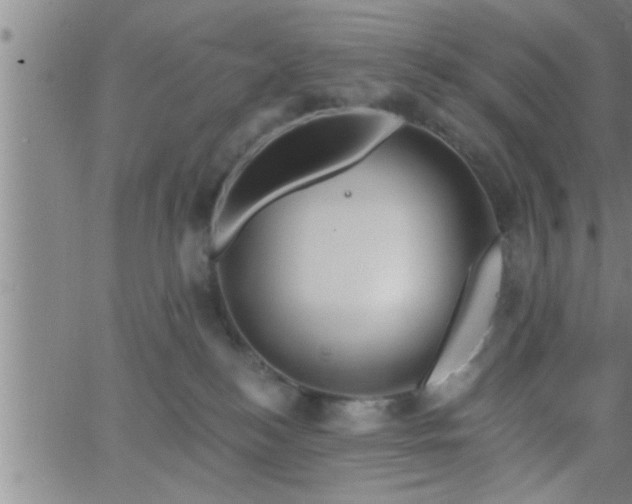 X0000063510184200601271820