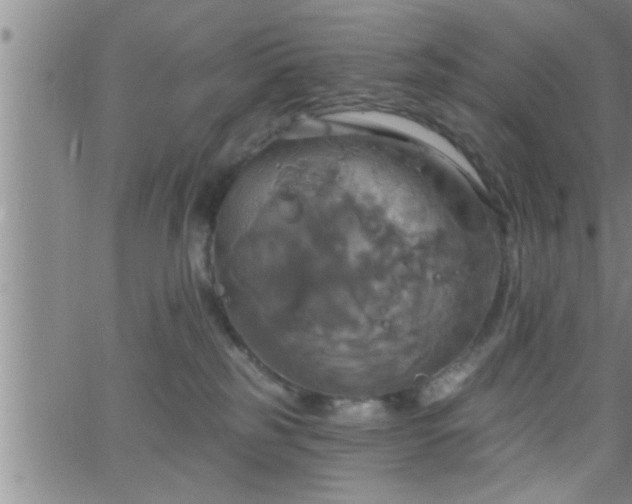 X0000063510185200601271820